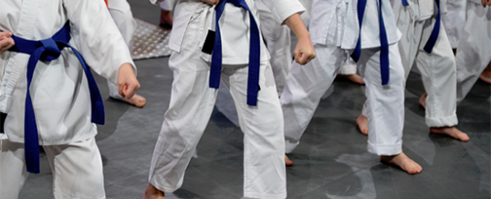 <h1>7 Health Benefits You Will Gain from Martial Arts Training</h1>